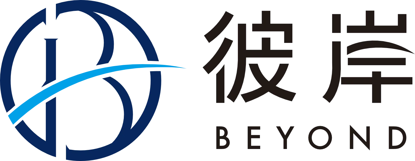 BeyondBorderGroup.com logo