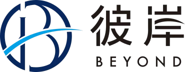 BeyondBorderGroup.com logo