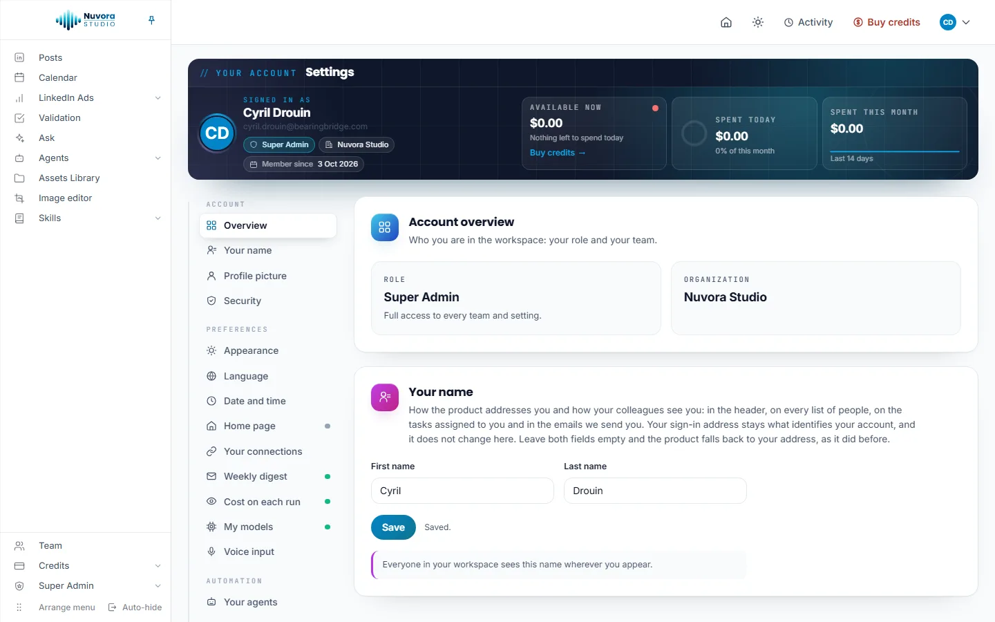 The Settings page: the band with the person signed in, their role and team, Available now, Spent today and Spent this month; the sections list on the left; the Account overview and Your name cards