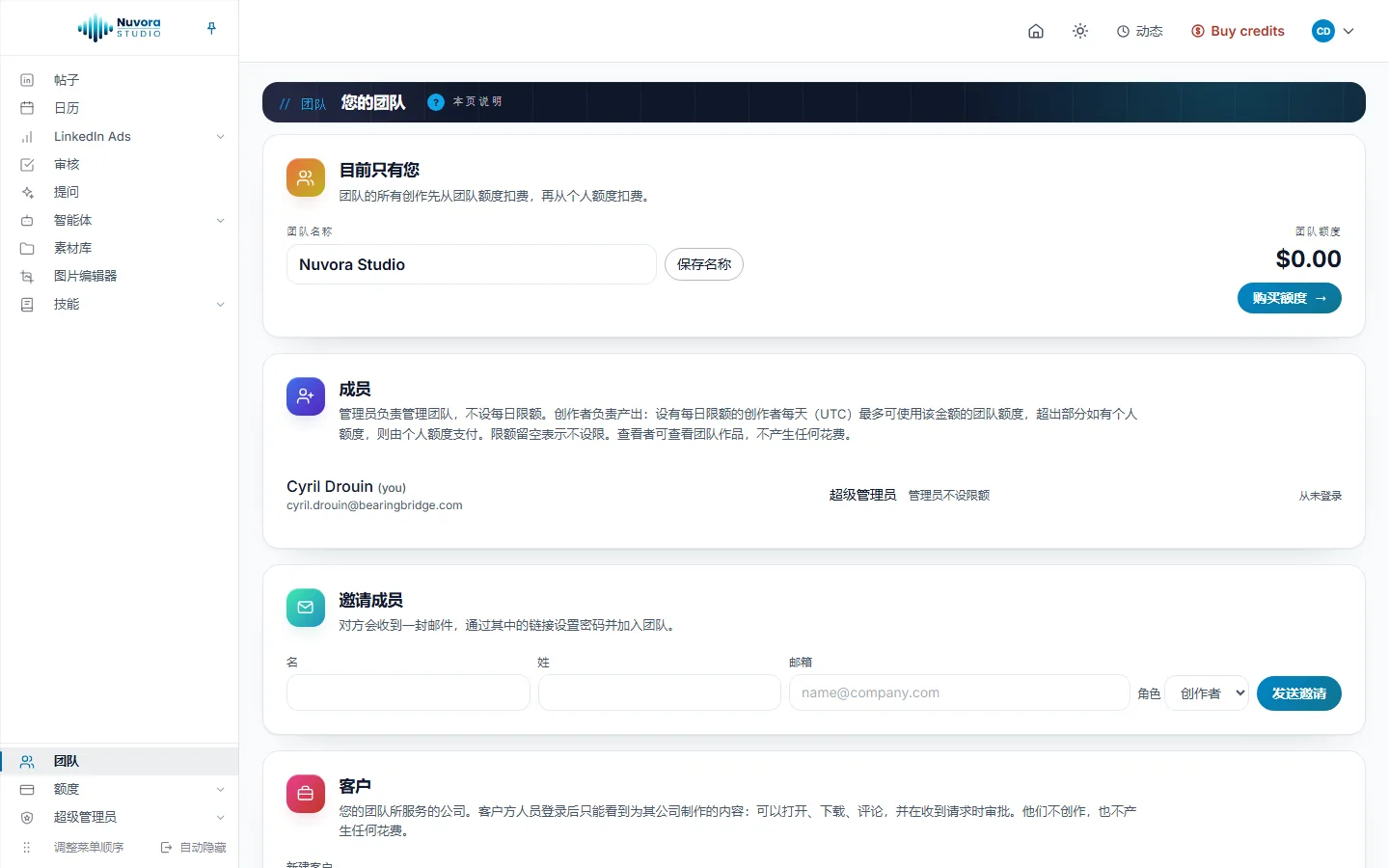 一个新团队的团队页面：目前只有您，团队名称和保存名称按钮，团队额度为 $0.00 并带购买额度按钮，成员卡片里有一位管理员并标着管理员不设限额，下方是邀请成员、客户、发票与登录几张卡片
